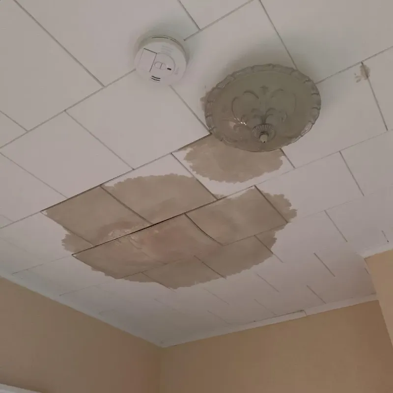 Ceiling Water Damage Repair in Halifax, MA